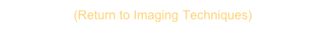 (Return to Imaging Techniques)  