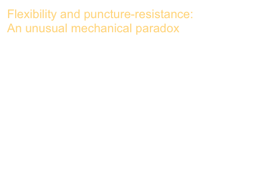 Flexibility and puncture-resistance: 
An unusual mechanical paradox

Mechanical properties of stingray tesserae: High-resolution correlative analysis of mineral density and indentation moduli in tessellated cartilage
Ronald Seidel, Andreas Roschger, Ling Li, Joseph J. Bizzarro, Qiuting Zhang, Jie Yin, Ting Yang, 
James C. Weaver, Peter Fratzl, Paul Roschger, 
Mason N. Dean

Acta Biomaterialia 96: 421–435