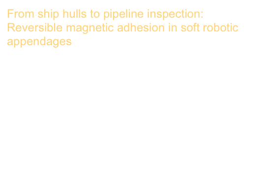 From ship hulls to pipeline inspection: Reversible magnetic adhesion in soft robotic appendages
An ambidextrous starfish-inspired exploration and reconnaissance robot (the ASTER-bot)
Michael A Bell, James C Weaver, Robert J Wood
Soft Robotics 9 (5), 991-1000