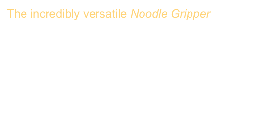 The incredibly versatile Noodle Gripper
Active entanglement enables stochastic, topological grasping
Kaitlyn Becker, Clark Teeple, Nicholas Charles, Yeonsu Jung, Daniel Baum, James C Weaver, L Mahadevan, Robert Wood
Proceedings of the National Academy of Sciences119 (42), e2209819119 