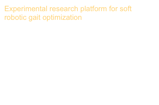Experimental research platform for soft robotic gait optimization
Design, fabrication, and characterization of an untethered amphibious sea urchin-inspired robot
Thibaut Paschal, Michael A Bell, Jakob Sperry, Satchel Sieniewicz, Robert J Wood, James C Weaver
IEEE Robotics and Automation Letters 4 (4), 3348-3354