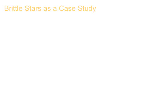 Brittle Stars as a Case Study

The Structural Origins of Brittle Star Arm Kinematics: An Integrated Tomographic, Additive Manufacturing, and Parametric Modeling-Based Approach
Lara Tomholt, Larry J. Friesen, Daniel Berdichevsky, Matheus C. Fernandes, Christoph Pierre, Robert J. Wood, and 
James C. Weaver

Journal of Structural Biology 211 (1), 107481
