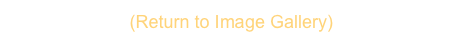 (Return to Image Gallery)  