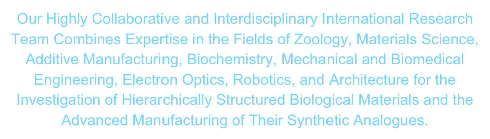 Our Highly Collaborative and Interdisciplinary International Research Team Combines Expertise in the Fields of Zoology, Materials Science, Additive Manufacturing, Biochemistry, Mechanical and Biomedical Engineering, Electron Optics, Robotics, and Architecture for the Investigation of Hierarchically Structured Biological Materials and the Advanced Manufacturing of Their Synthetic Analogues.    